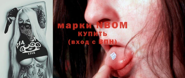 ПСИЛОЦИБИНОВЫЕ ГРИБЫ Новокубанск