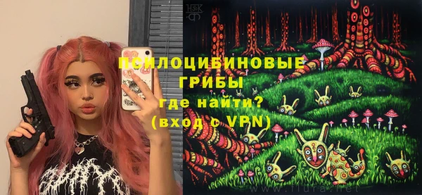 тгк Видное