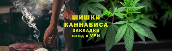ПСИЛОЦИБИНОВЫЕ ГРИБЫ Новокубанск